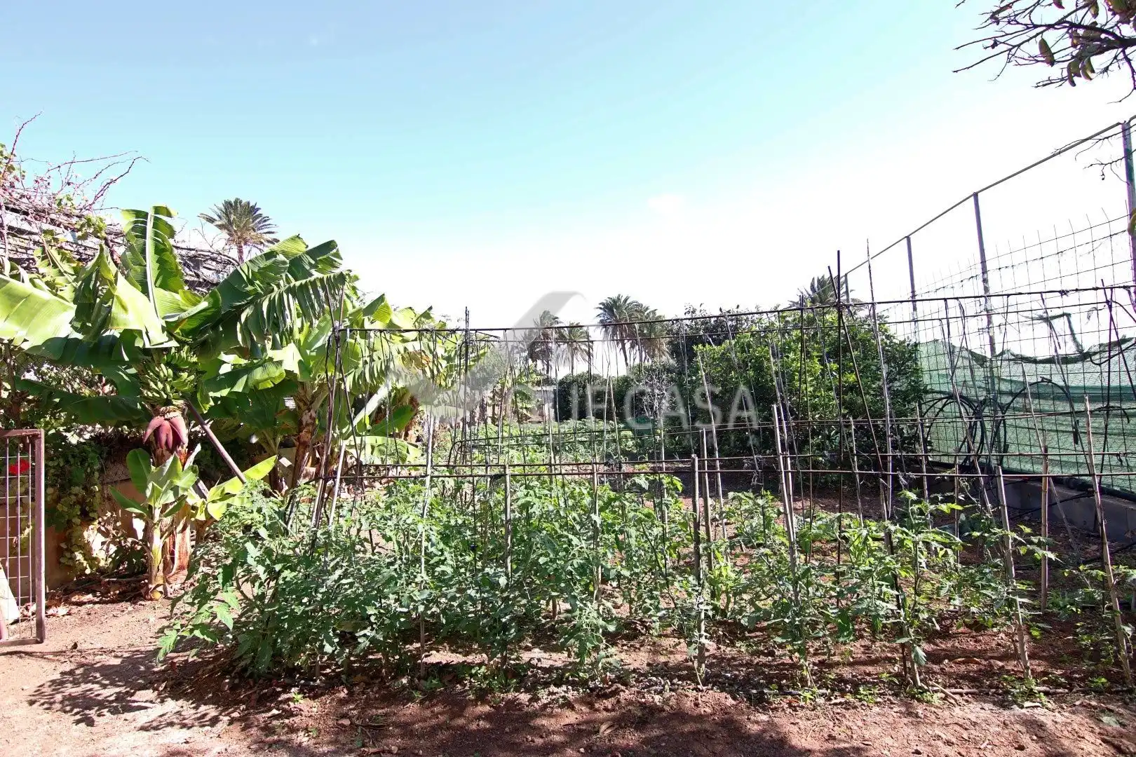 Rural land for sale in Sequero, imagen 5