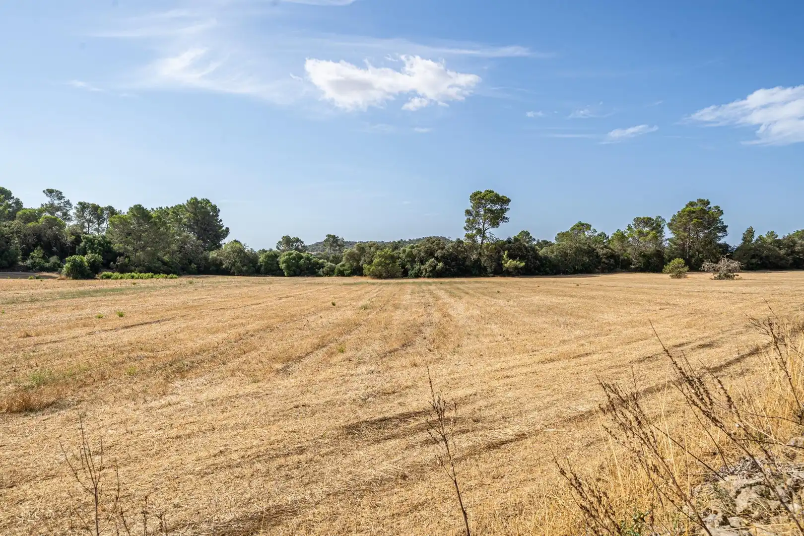 Terrain rustique à vendre à Diseminado Son Mora 199, imagen 19
