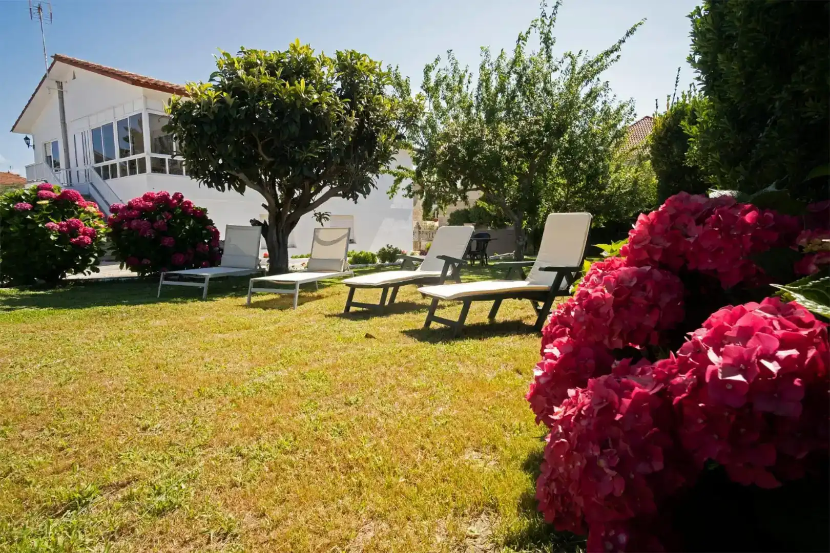 Jardí de Casa o xalet en venda en Vigo  amb Jardí privat, Parquet i Moblat