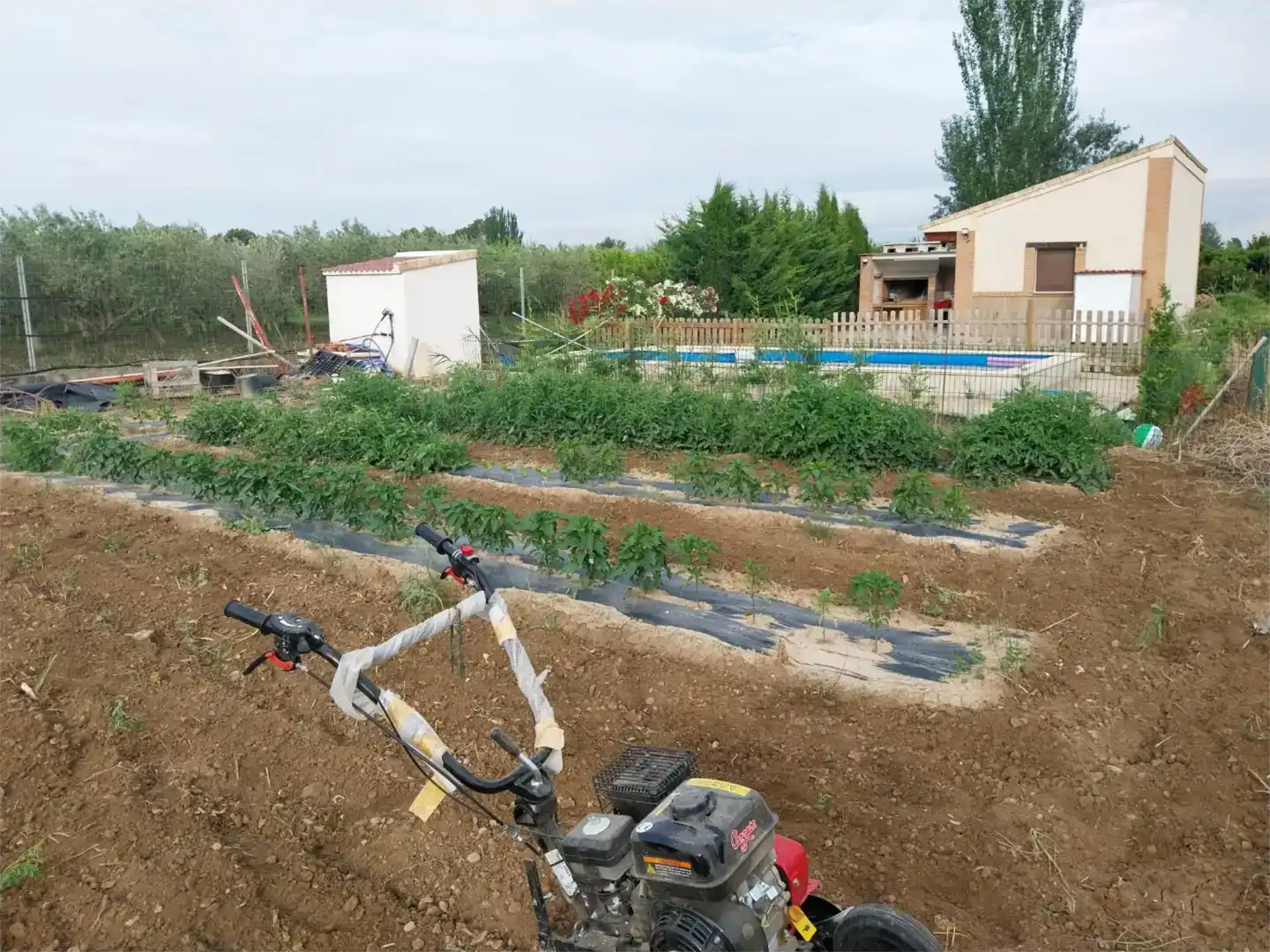 Jardí de Finca rústica en venda en Alfaro, La Rioja