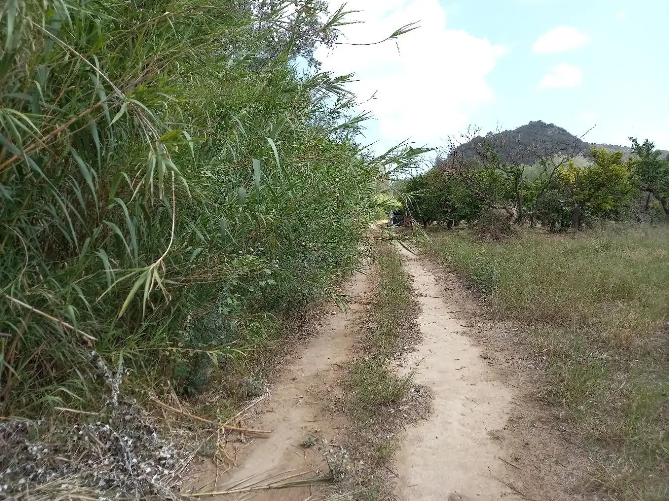 Terrenys i solars en venda a Miravet, imagen 25