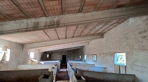 Foto 5 de Finca rústica en venda a Carrer Llanos San Roque, 98, Catí, Castellón