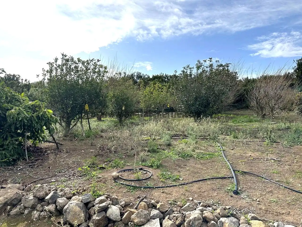 Finca rústica en venda en El Tanque