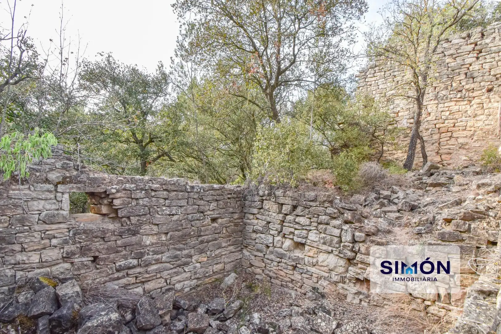 Finca rústica en venta en Veciana
