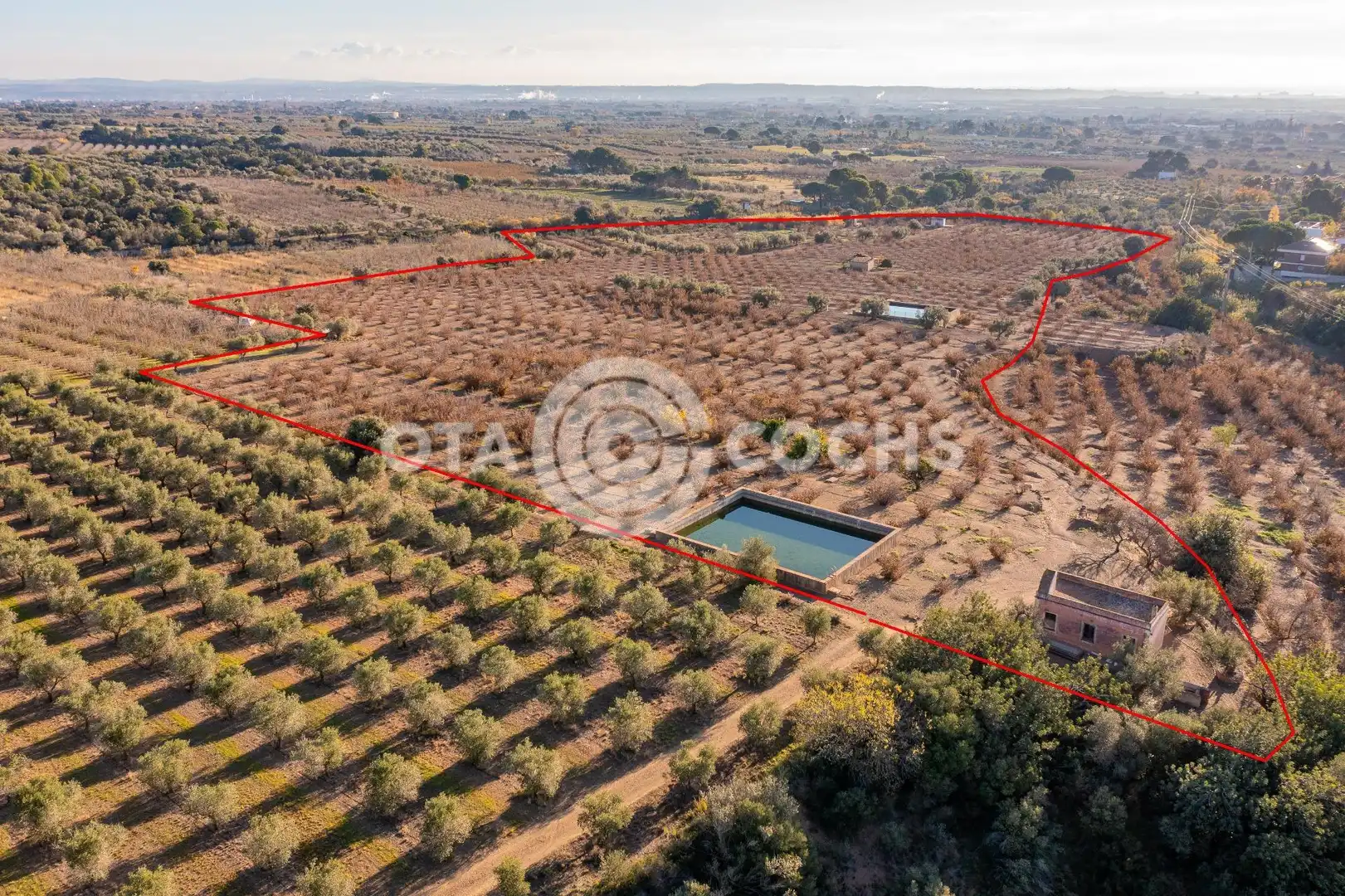 Finca rústica en venta en Castellvell del Camp