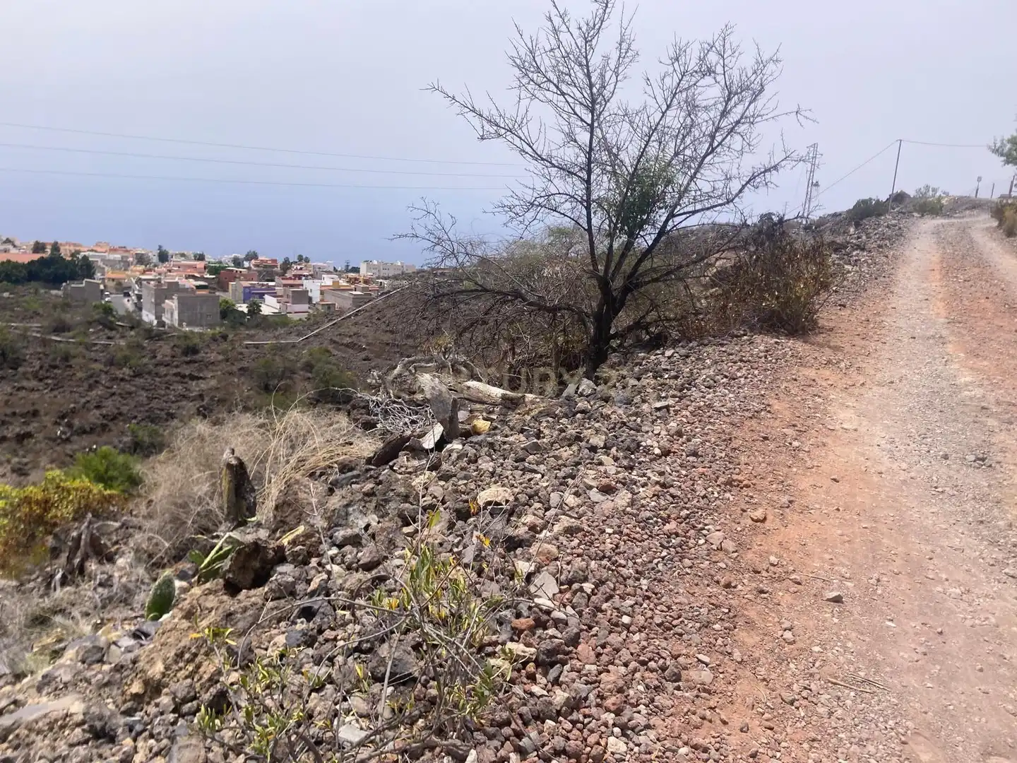 Terreno rústico en venta en Guía de Isora, Spain, imagen 18