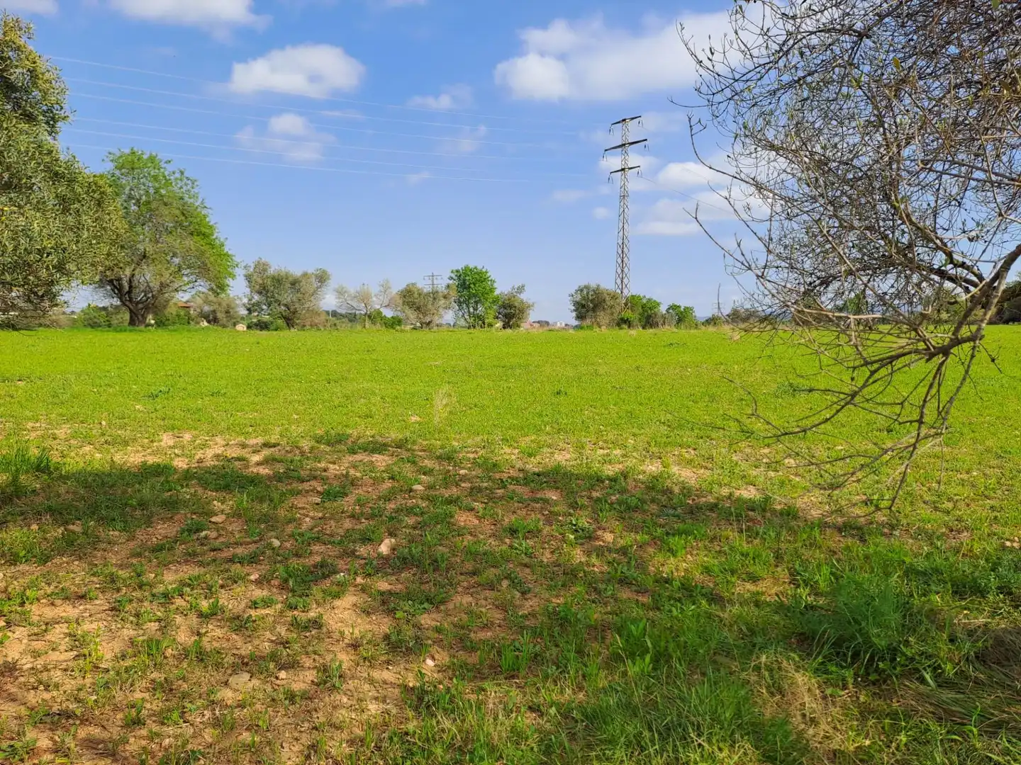 Land for sale in Terrassa