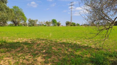 Photo 4 of Land for sale in Polígon Industrial Santa Margarida, Barcelona
