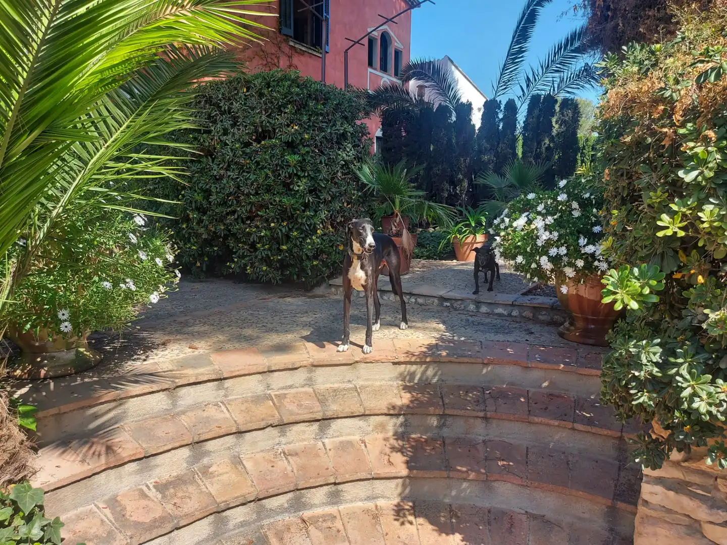 Garden of Houses for sale in Vilanova i la Geltrú