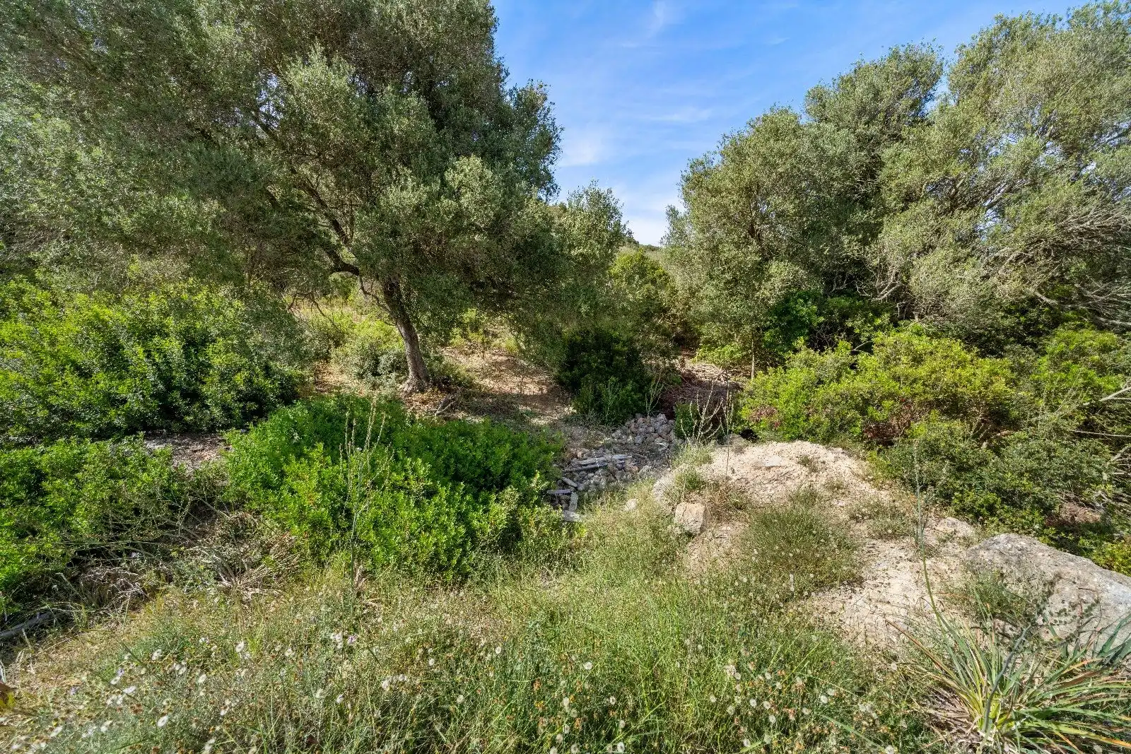 Terreny residencial en venda a Ciutat d'Alcúdia, imagen 13
