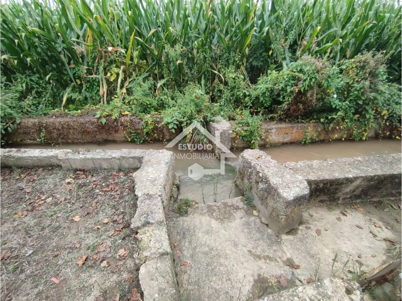 Terreno rustico in vendita a Mendavia, imagen 16