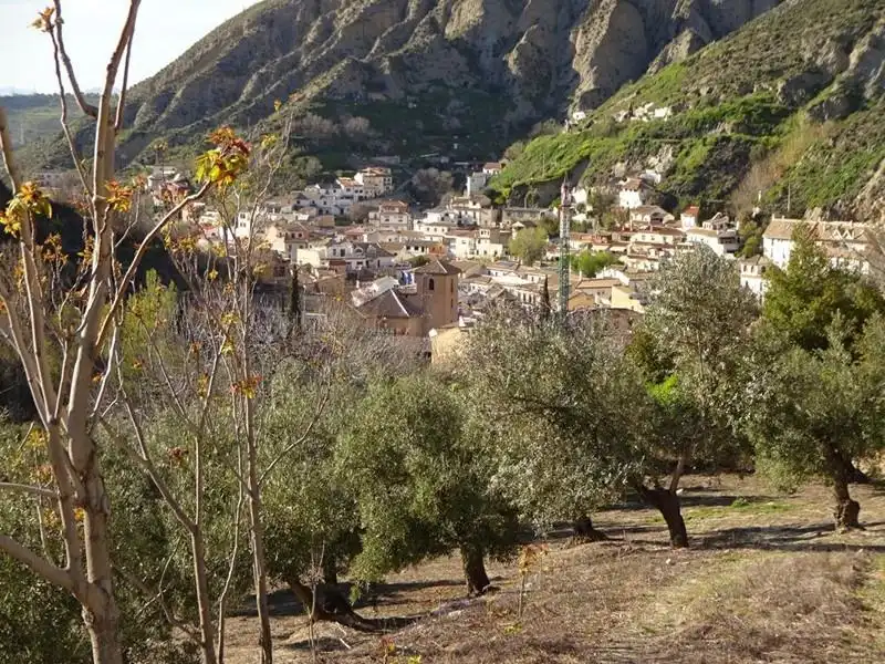 Terreno rustico in vendita a Calle LA CUESTA, imagen 3