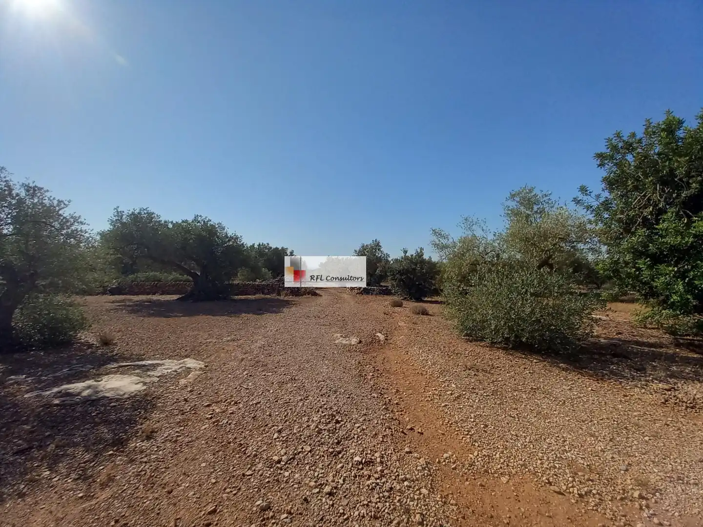 Terreno rústico en venta en L'Ampolla, imagen 9