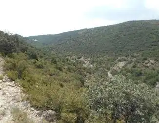 Terreno residenziale in vendita a Diseminat Agullo, imagen 5