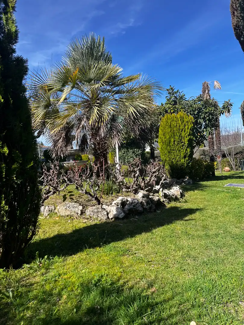 Jardín de Casa o chalet en venta en Las Rozas de Madrid con Aire acondicionado, Calefacción y Jardín privado