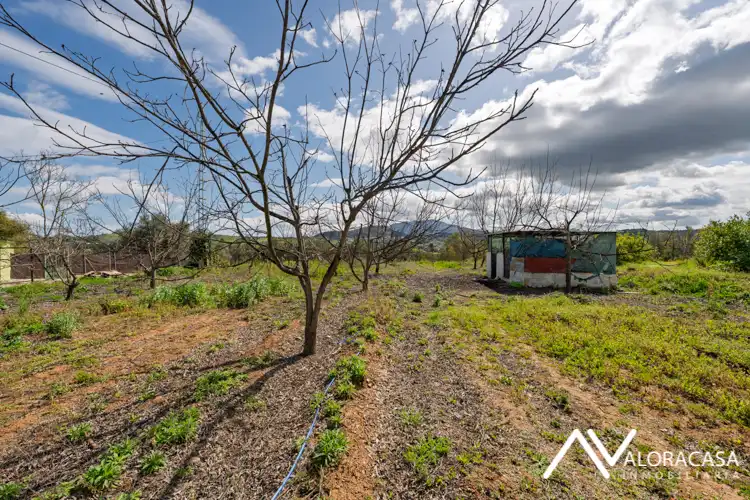 Finca rústica en venta en Coín