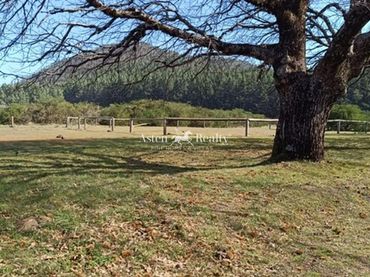 Terrain rustique à vendre à La Matanza de Acentejo