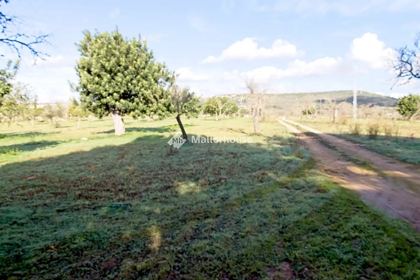Finca rústica en venda en  Palma de Mallorca amb Jardí privat, Terrassa i Traster