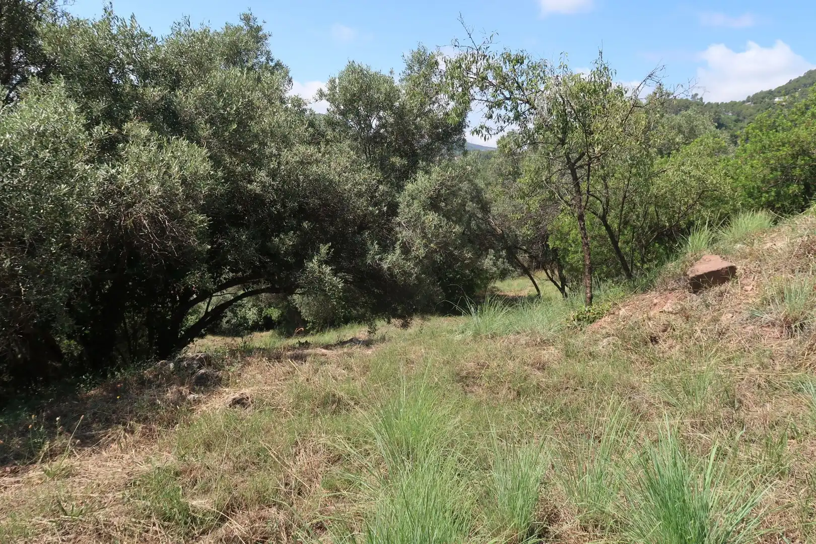 Residencial en venta en Vallirana