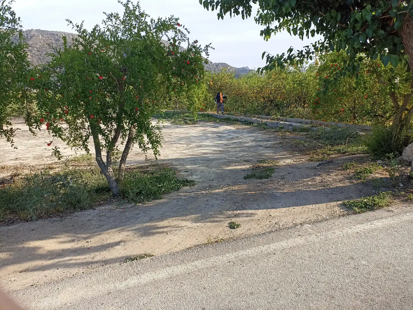 Terrenys i solars en venda a Diseminado Camino Viejo Orihuela 54, imagen 2