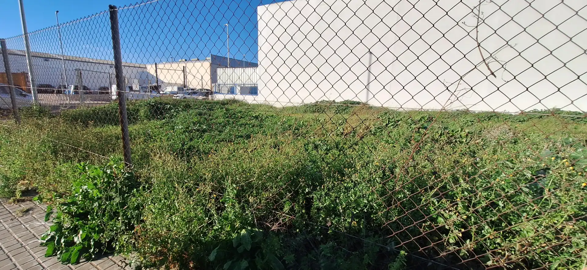 Terreno industrial en venta en Catarroja