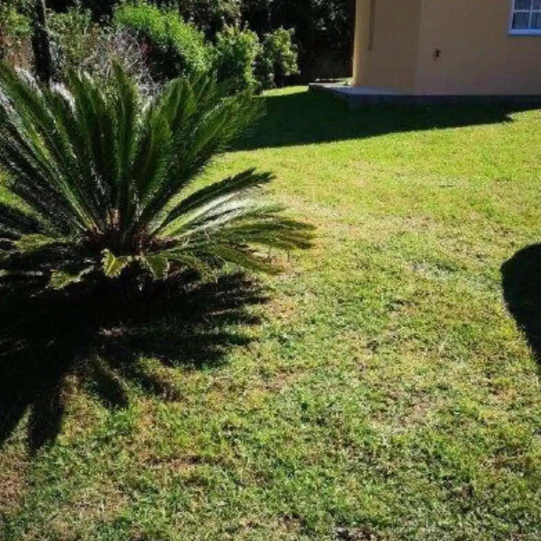 Villa mit Garten zum Verkauf in do Loureiro, imagen 11