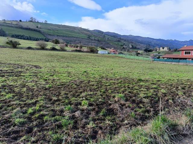 Terreno residencial en Venta en Ribadedeva
