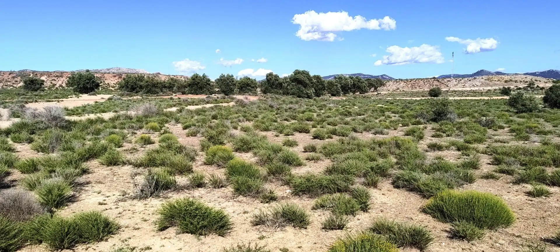 Rural land for sale in Partida Los Cabezos, imagen 4
