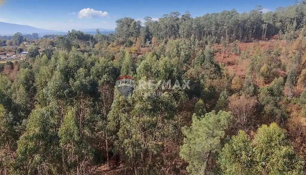 Terreny residencial en venda a Salvaterra de Miño, imagen 8