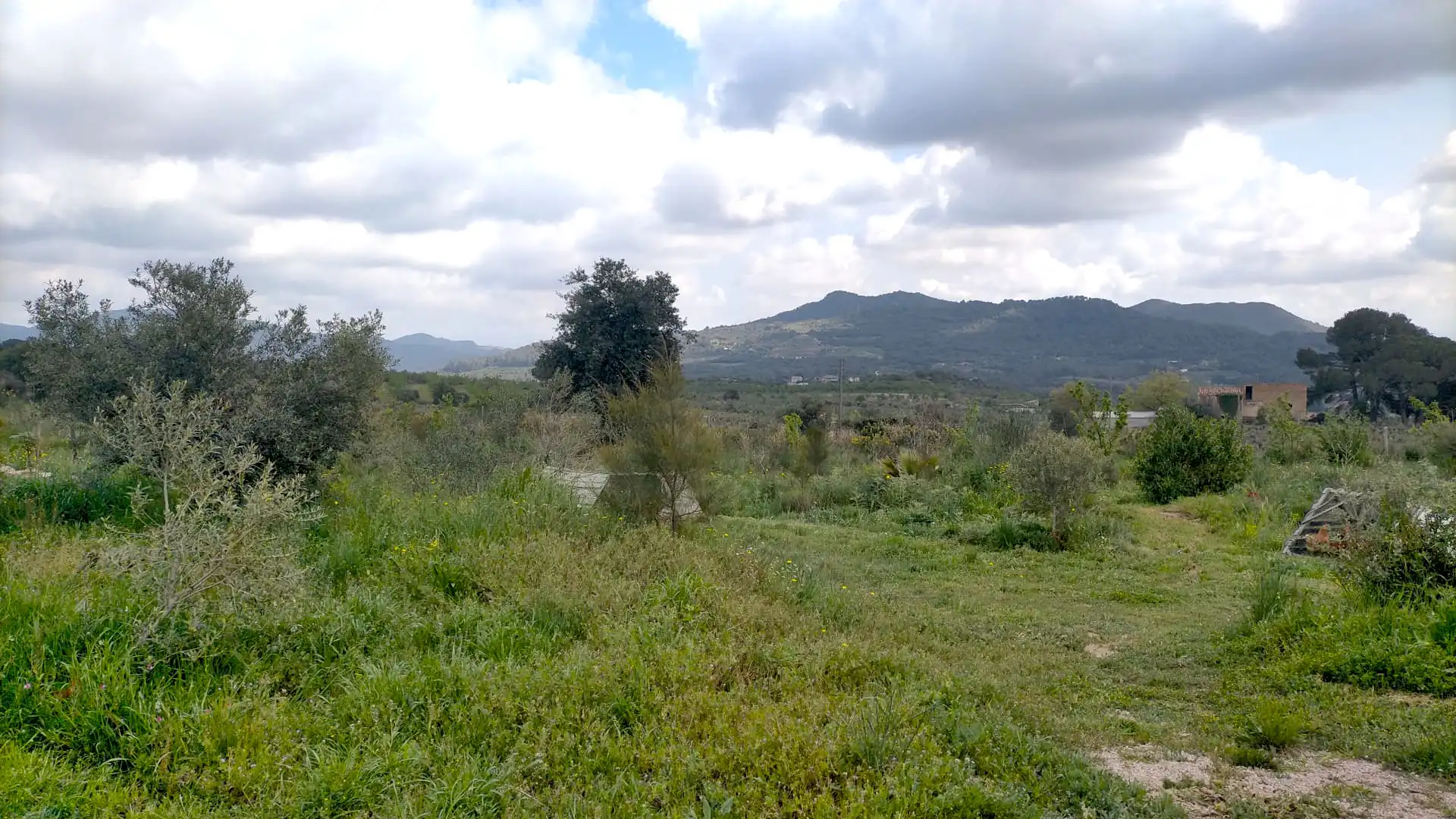 Country homes for rent in Alforja