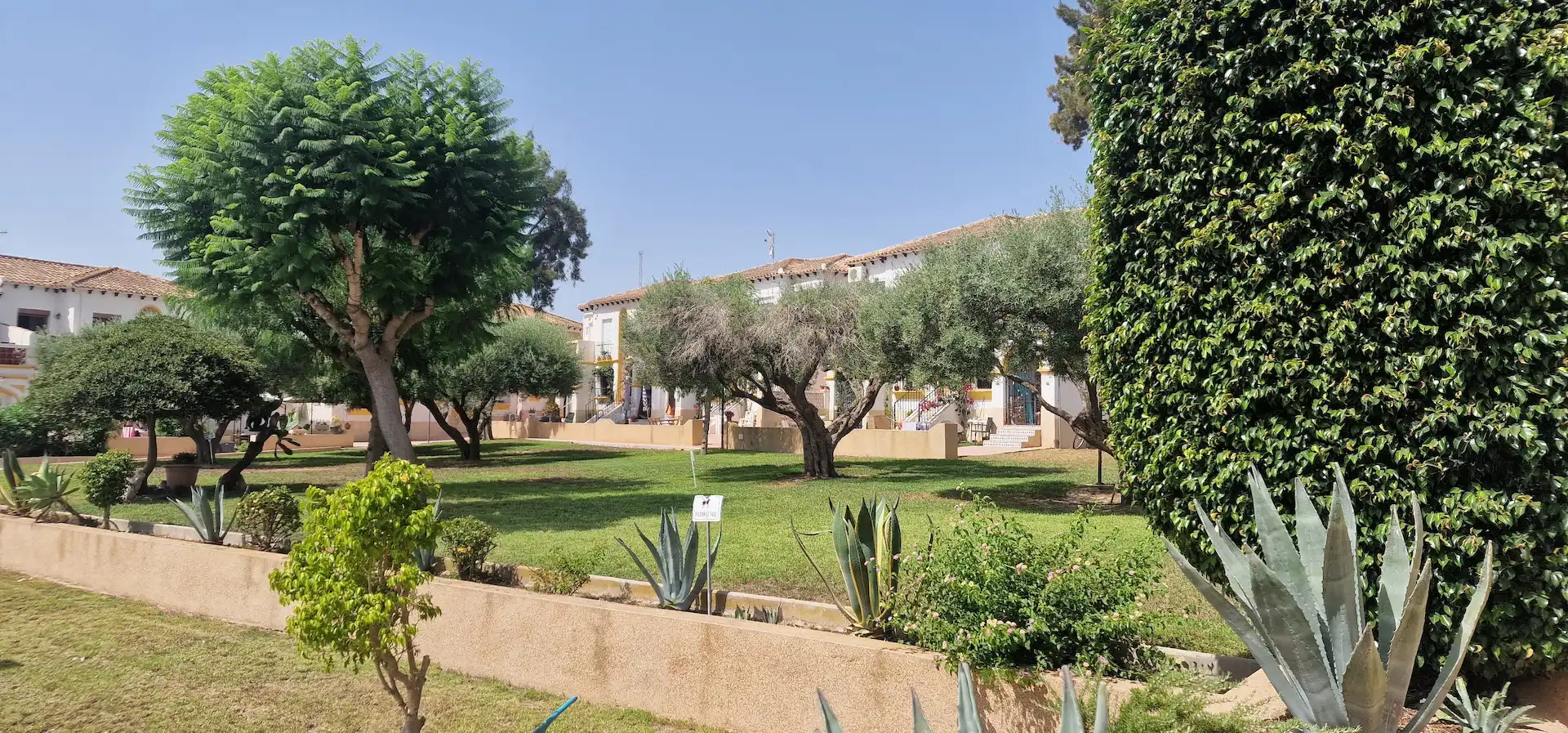 Garden of Houses for rent in San Miguel de Salinas  with Air Conditioner, Heating and Private garden