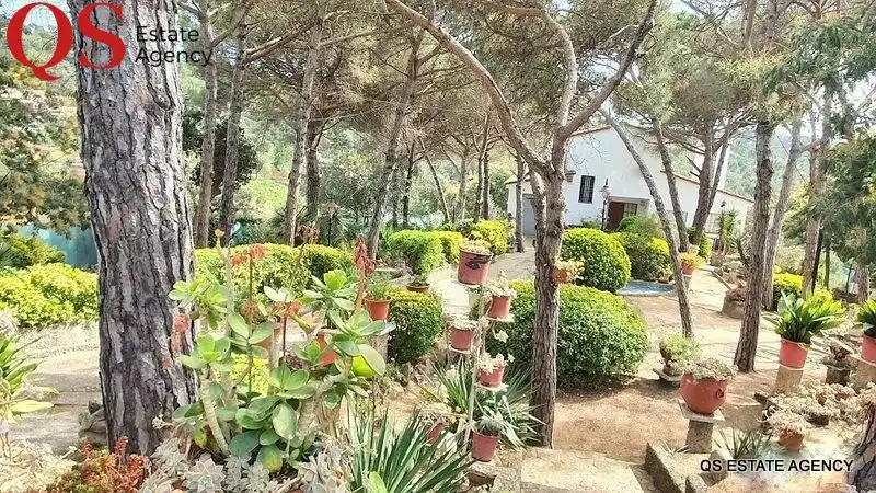 Casa amb piscina en venda a Mas Altaba - El Molí, imagen 16