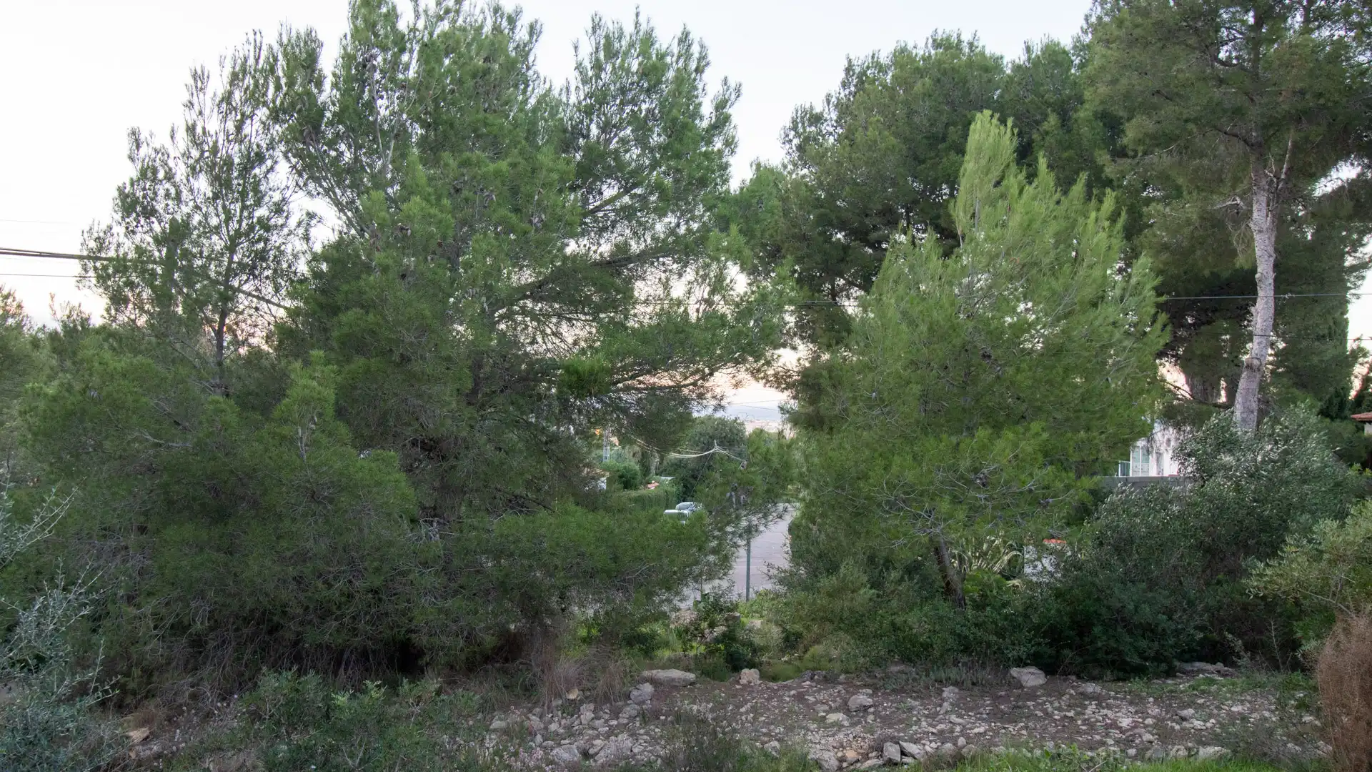 Terreny residencial en venda a El Montgó, imagen 6