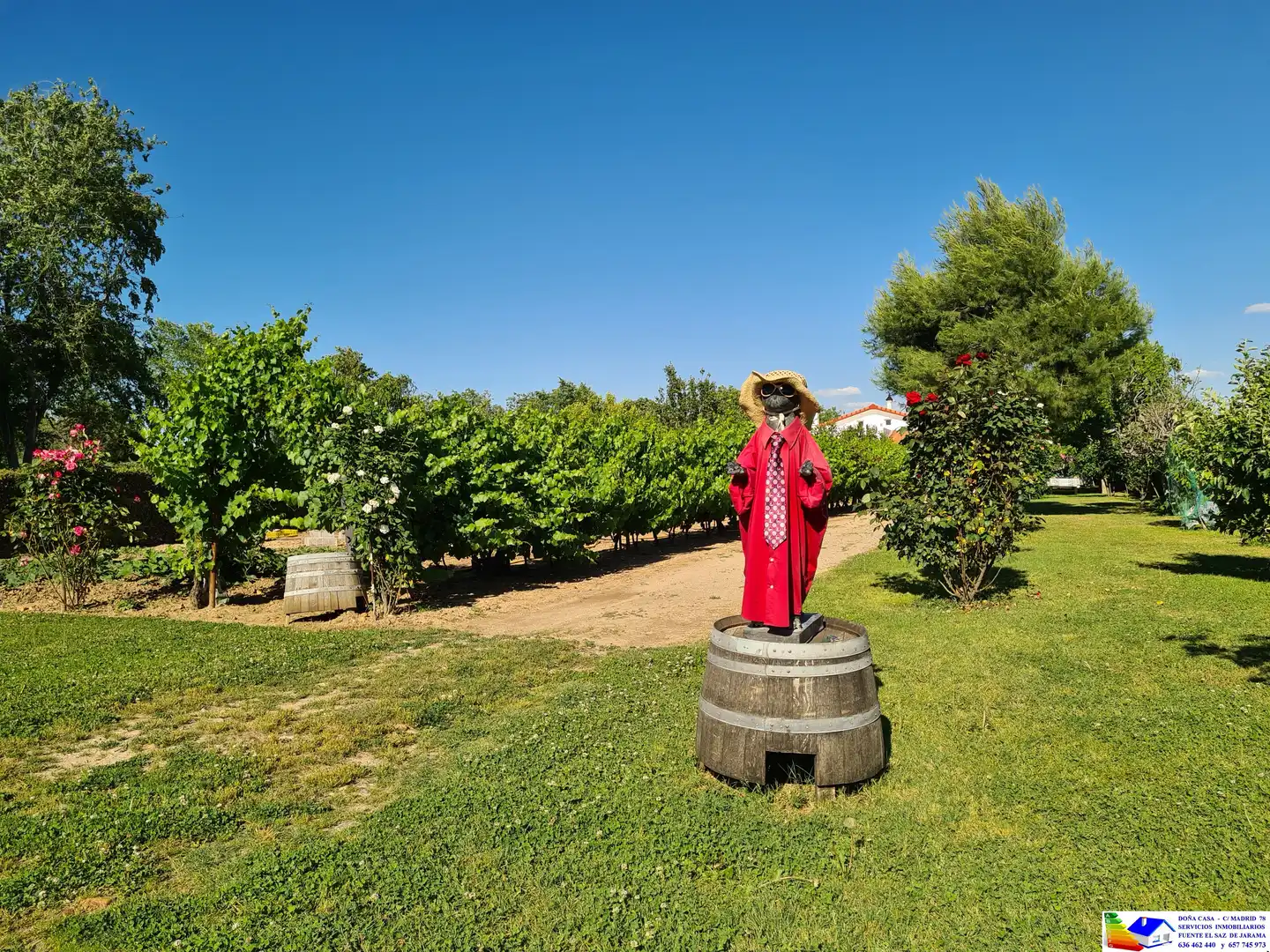 Vista exterior de Casa o chalet en venta en Fuente El Saz de Jarama con Aire acondicionado, Calefacción y Jardín privado