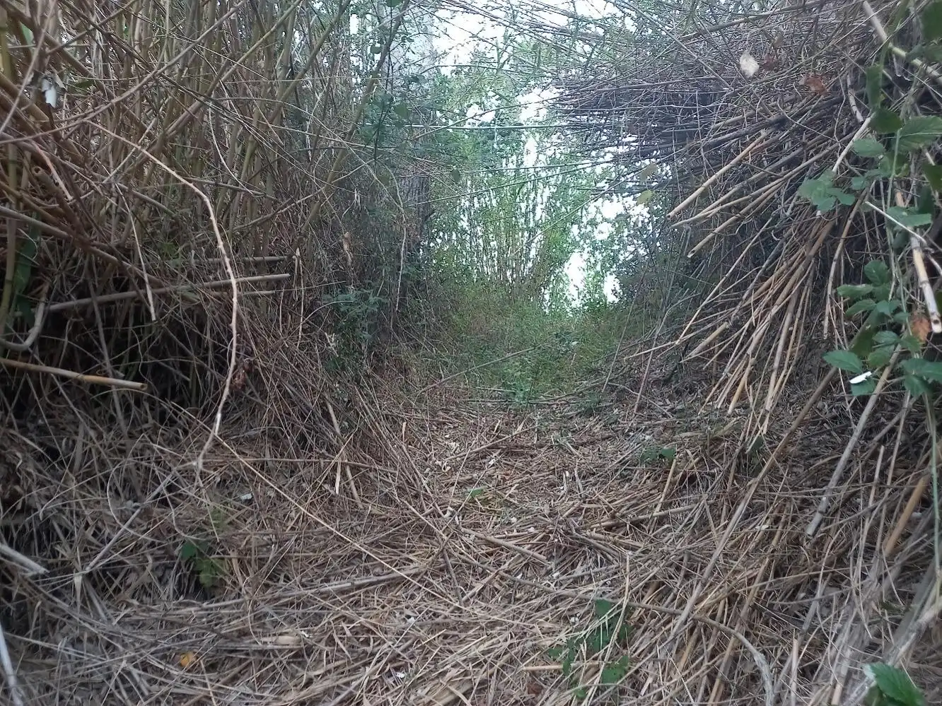 Terrenys i solars en venda a Miravet, imagen 12