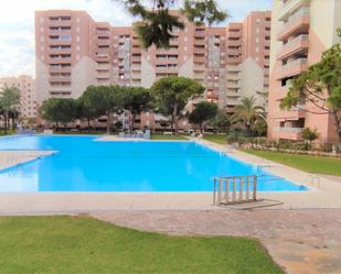 Piscina de Apartament en venda en Canet d'En Berenguer amb Terrassa, Moblat i Piscina comunitària