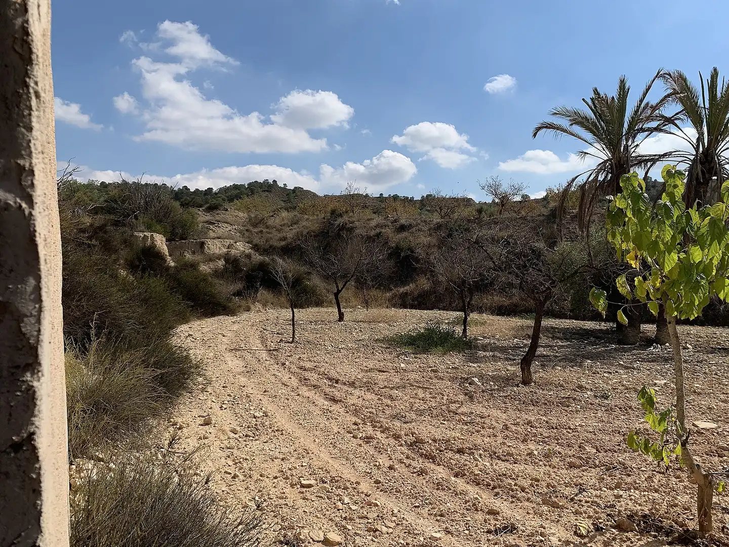 Country homes for sale in Abanilla