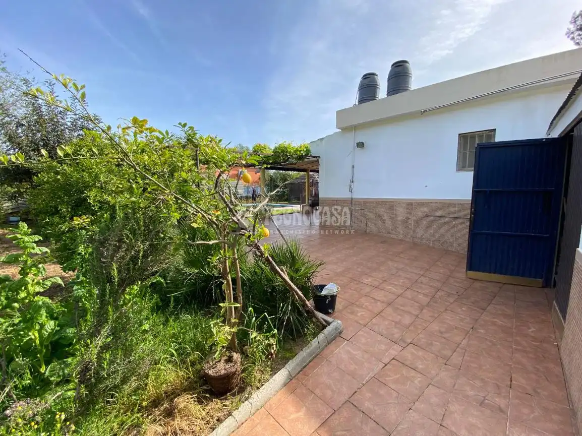 Finca rústica en venda a Los Palacios y Villafranca
