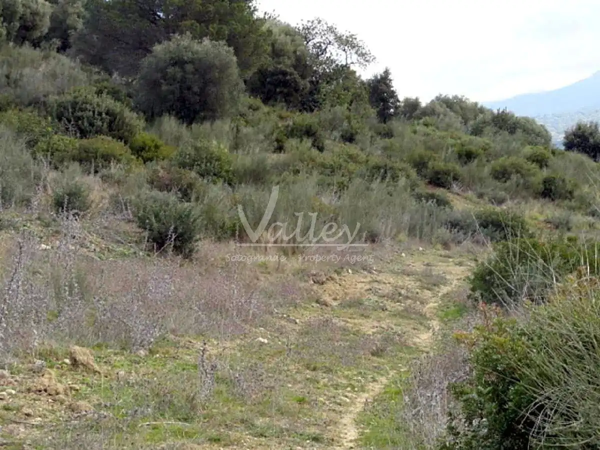 Terreni e lotti in vendita a None, imagen 14