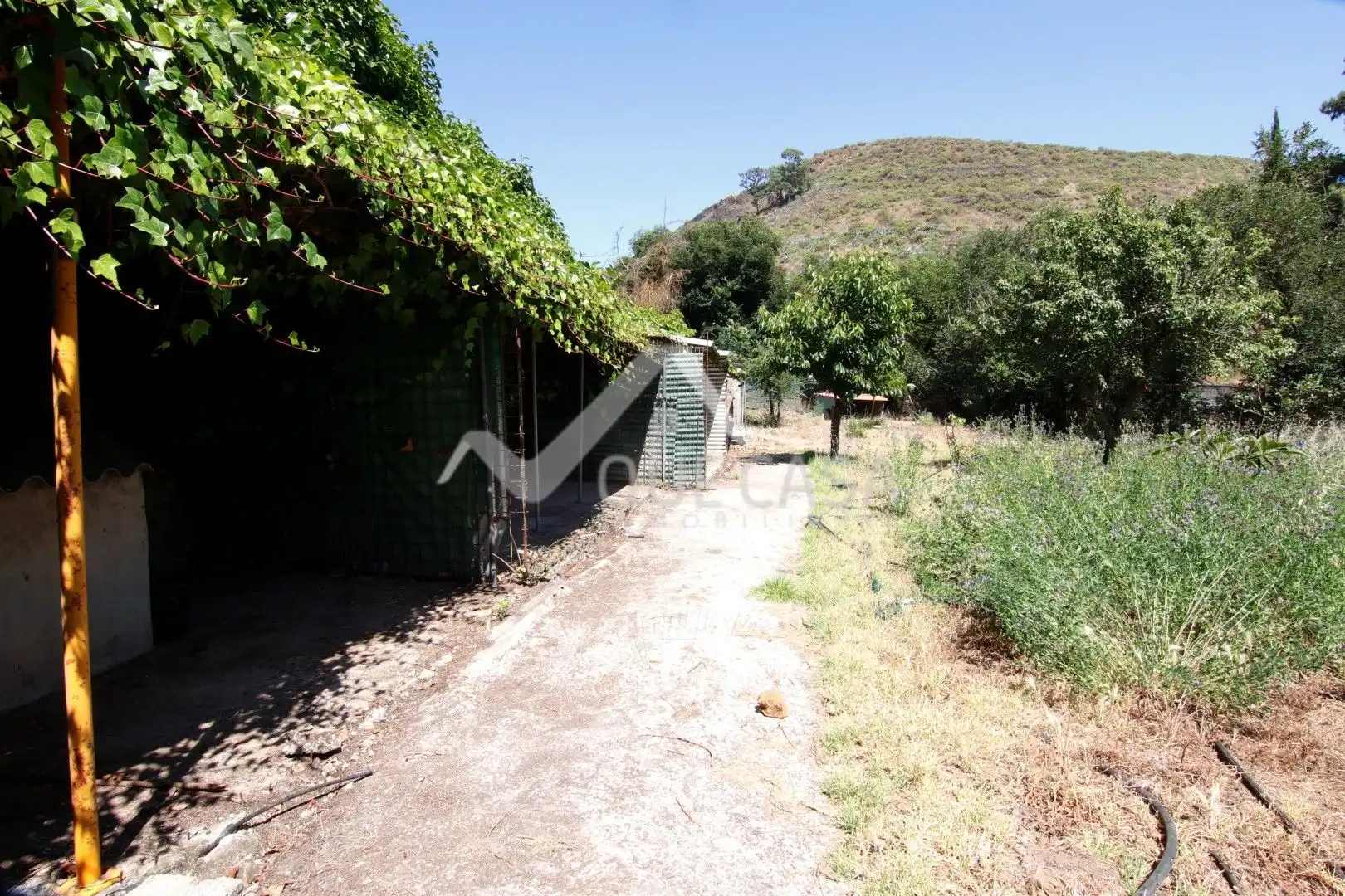 Terreno en venta en Vega de San Mateo