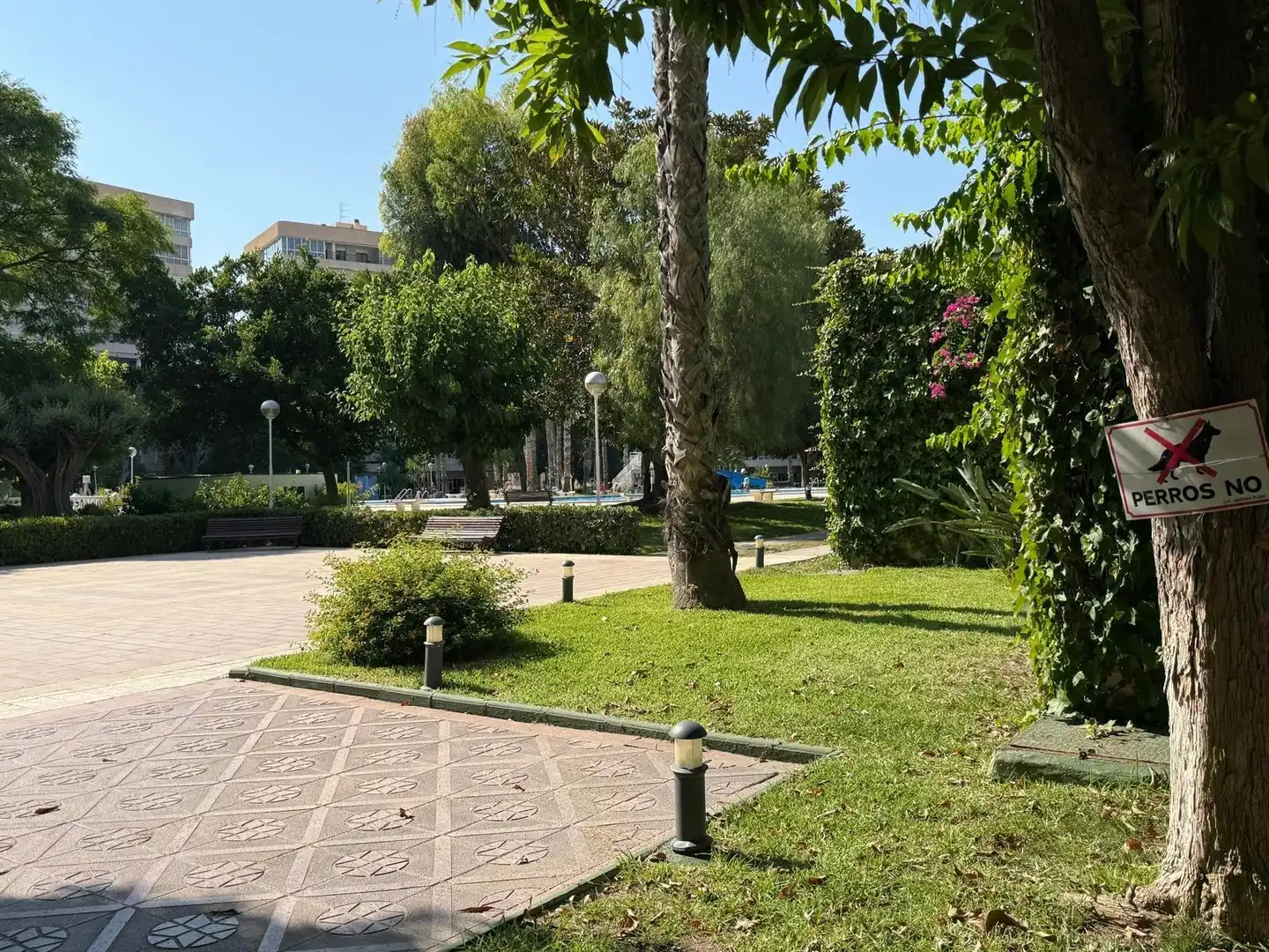 Pis amb terrassa en venda a Playa de San Juan - El Cabo de las Huertas, imagen 30