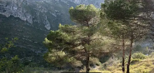 Residential land for sale in Carrer de Gandia, imagen 9