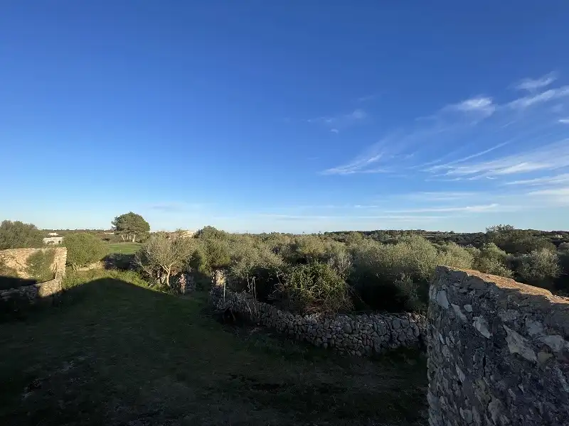 Finca rústica en venda en Manacor
