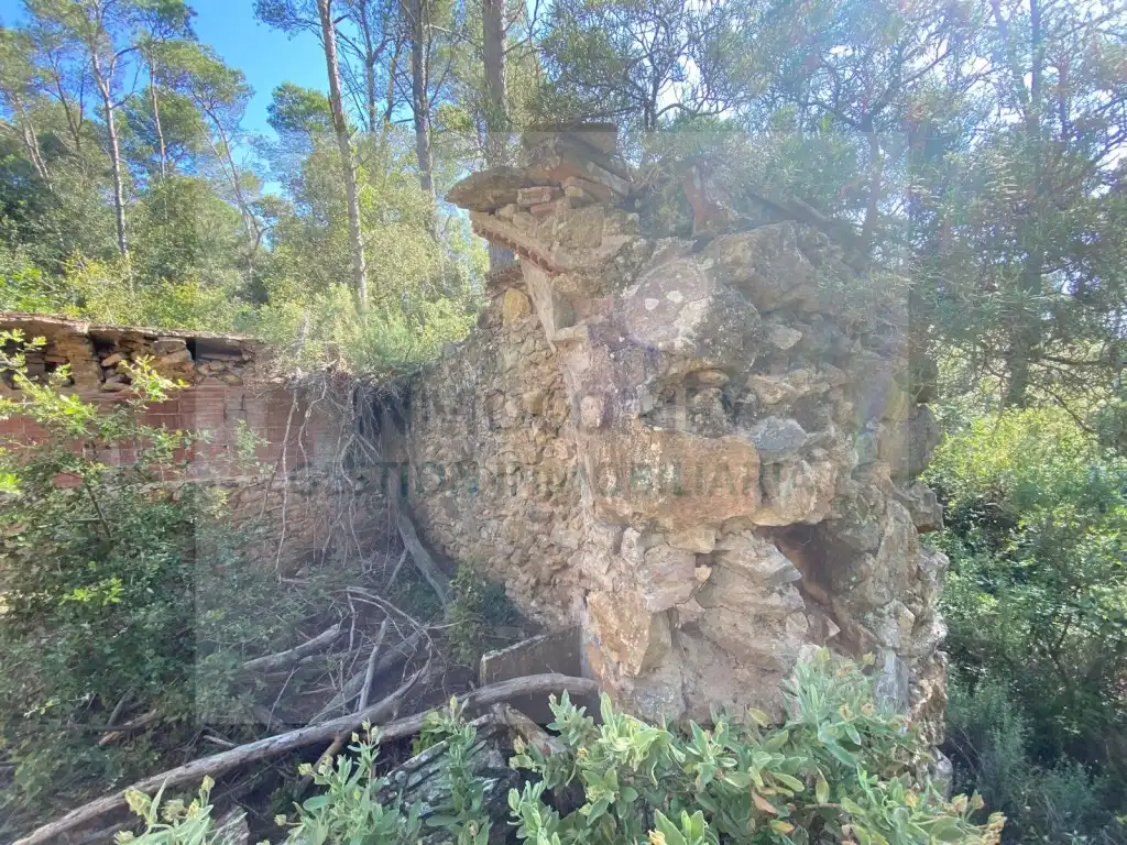 Land for sale in Pals