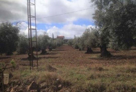 Casa o chalet en venta en Valverde de Leganés