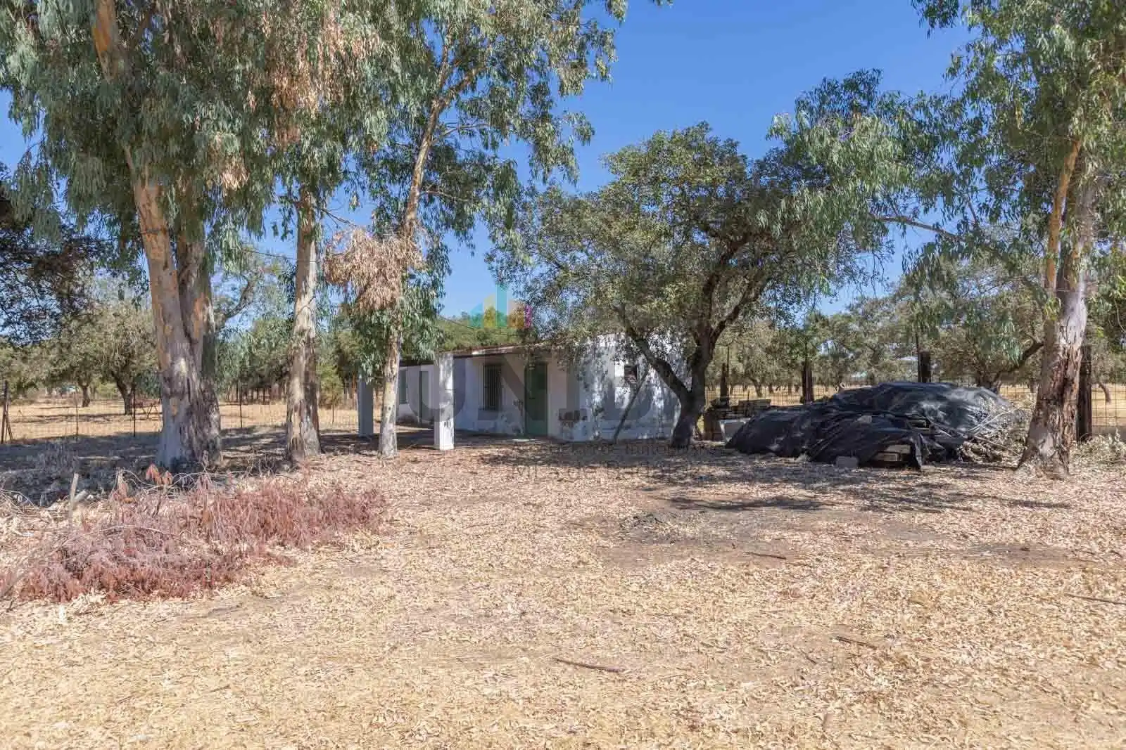 Chalet con piscina en venta en Pedanías de Badajoz, imagen 43