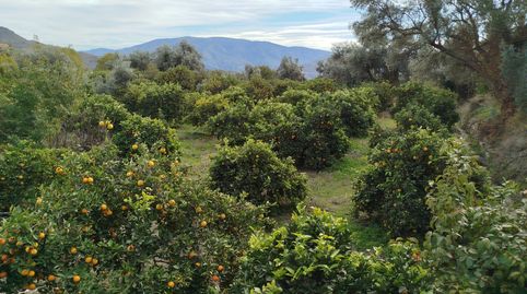 Foto 3 von Grundstücke zum Verkauf in Calle Baja, 14, Lecrín, Granada