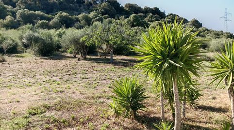 Foto 4 de Casa o xalet en venda a N/a, -1, Petra, Illes Balears