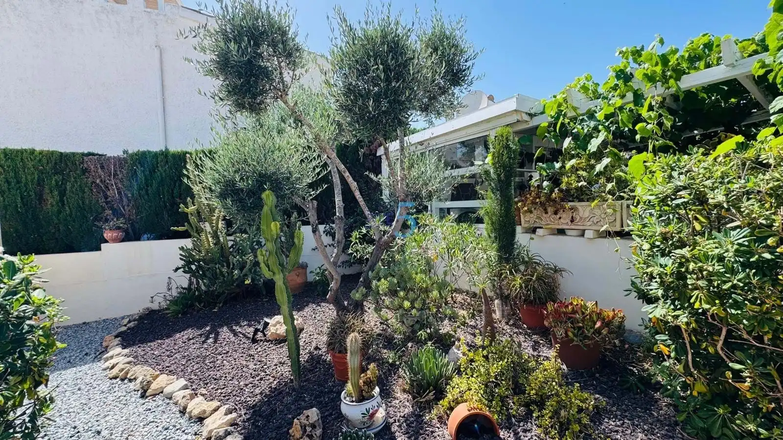Jardí de Casa o xalet en venda en Rojales amb Aire condicionat, Terrassa i Traster