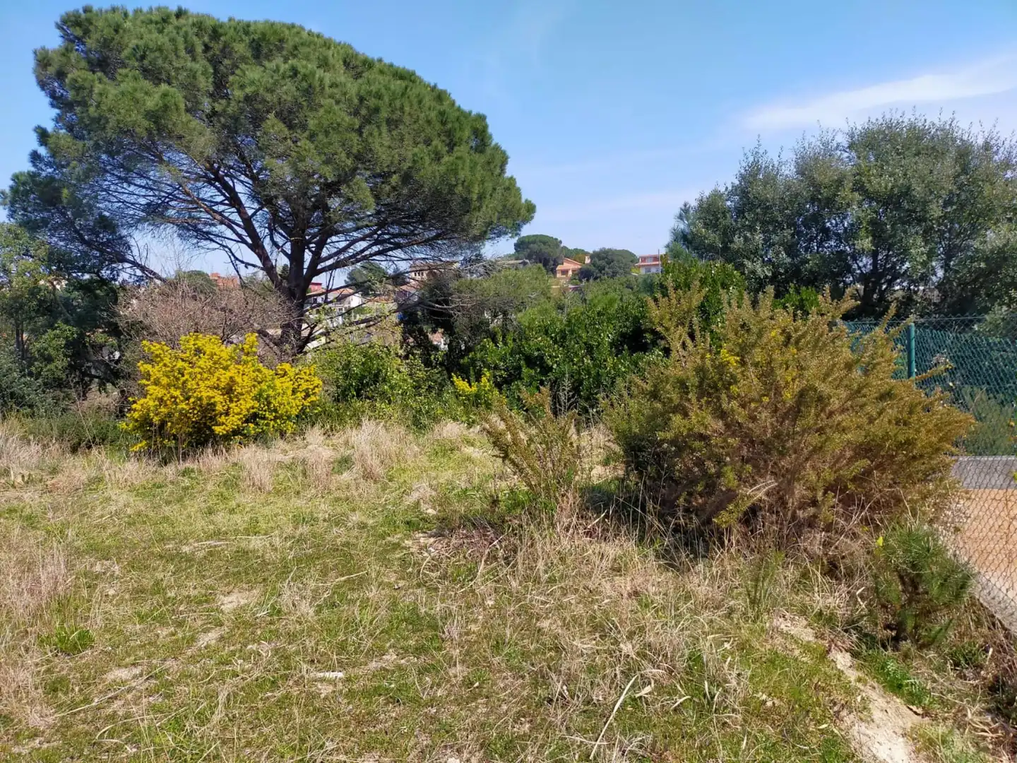 Residential for sale in Riells i Viabrea